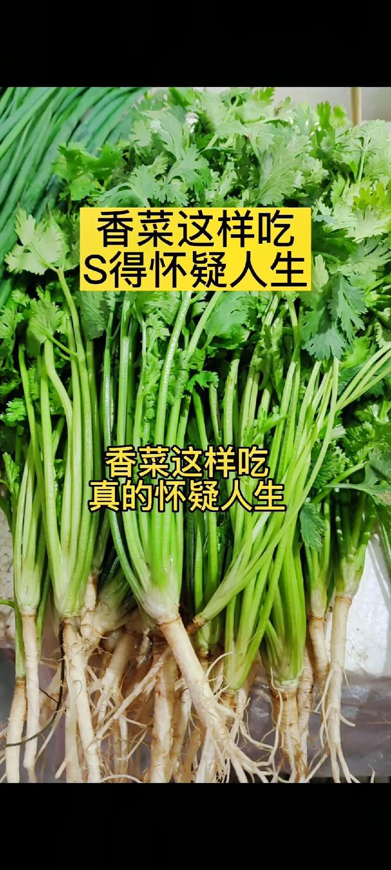 长期吃香菜好吗,长期吃香菜对身体好吗