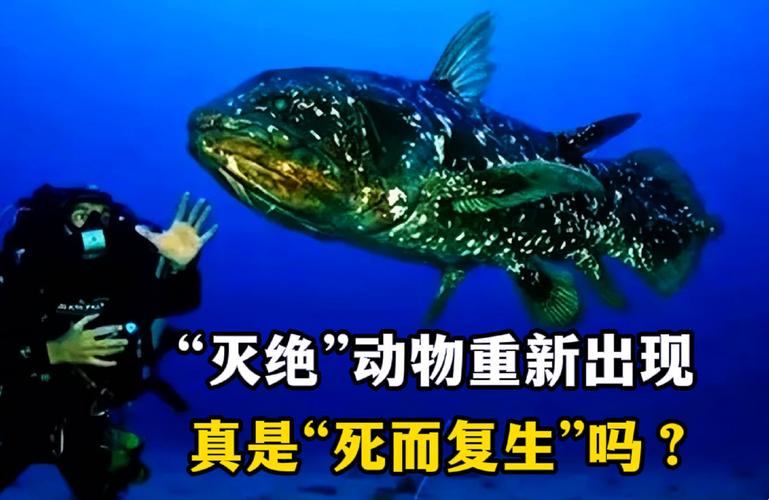 分崩离析的动物打一生肖,分崩离析是什么动物