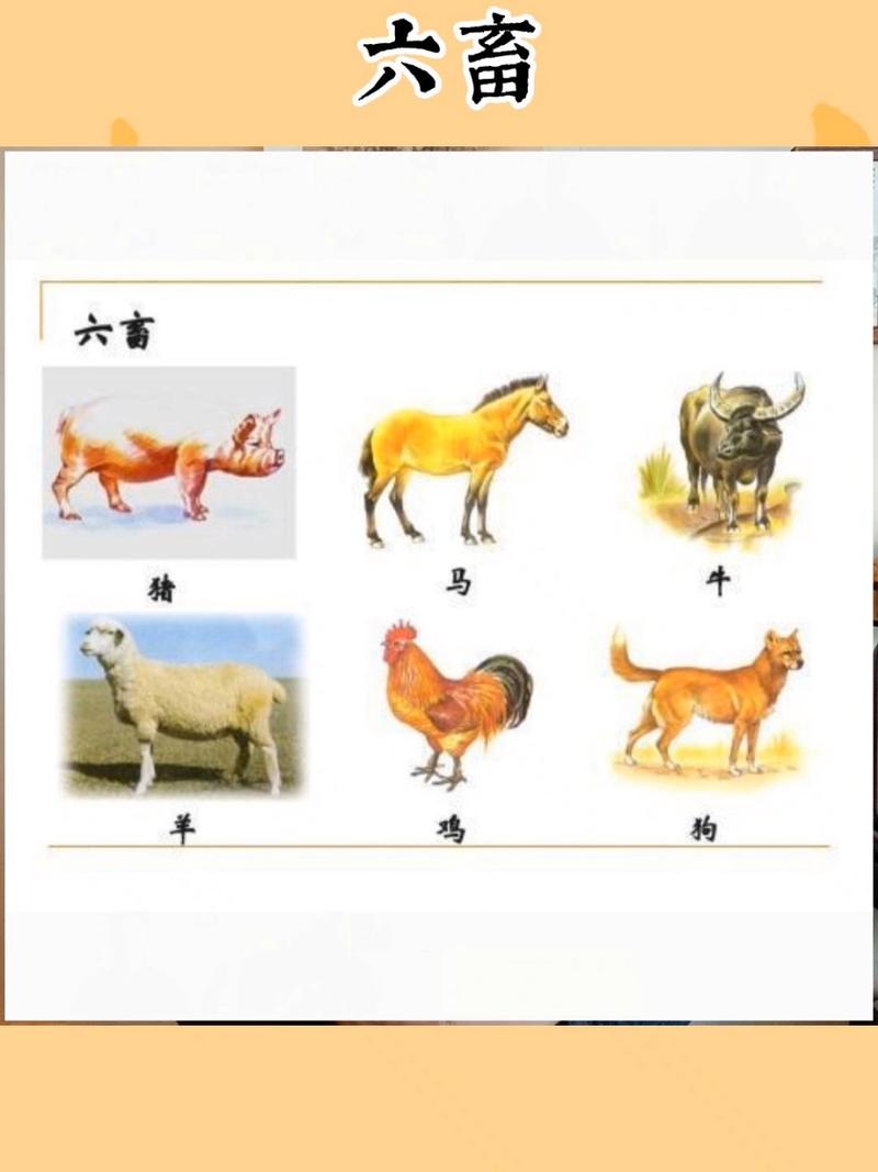 今期特马定牛羊,今期特马定牛羊是什么生肖