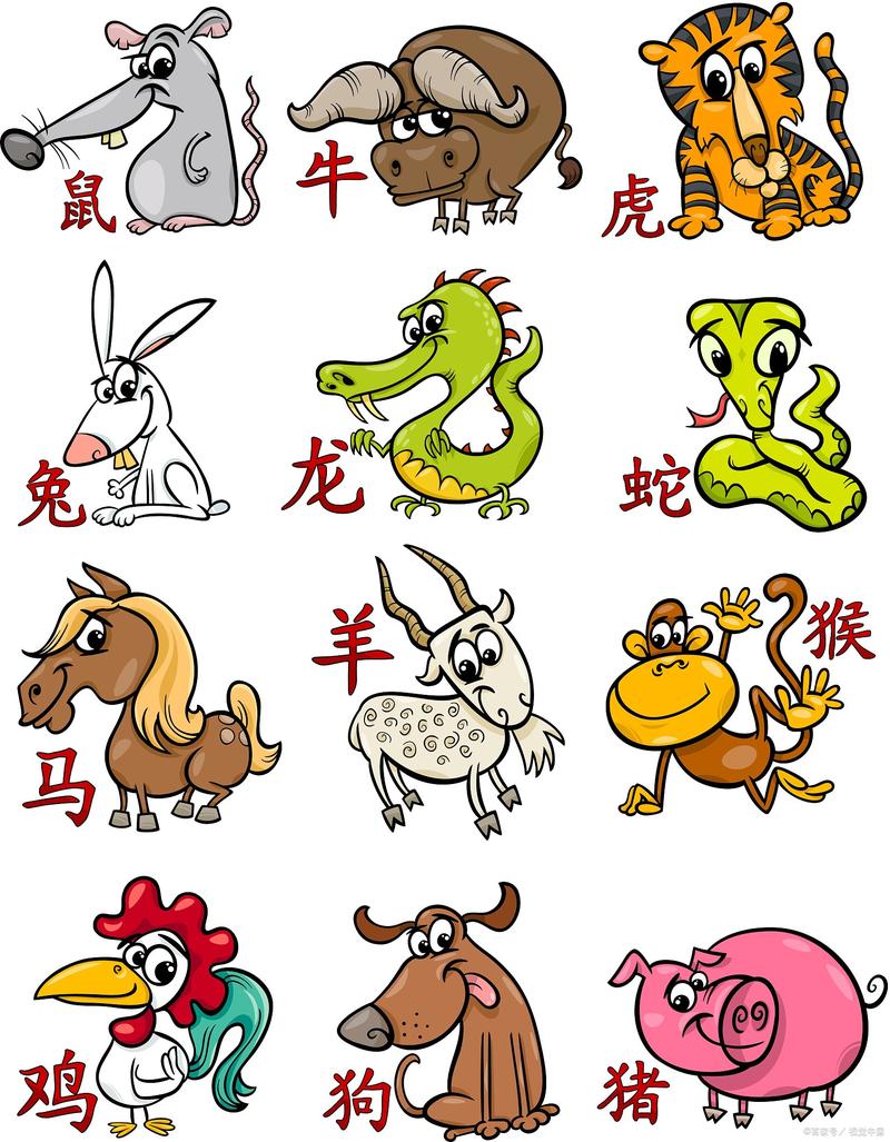 今期生肖定南方指哪几个生肖,今期生肖定南方指什么动物