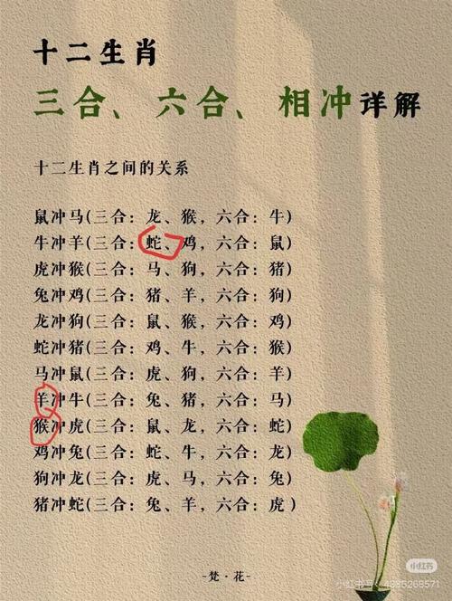三六今期出头来代表什么生肖,三六一头出今期