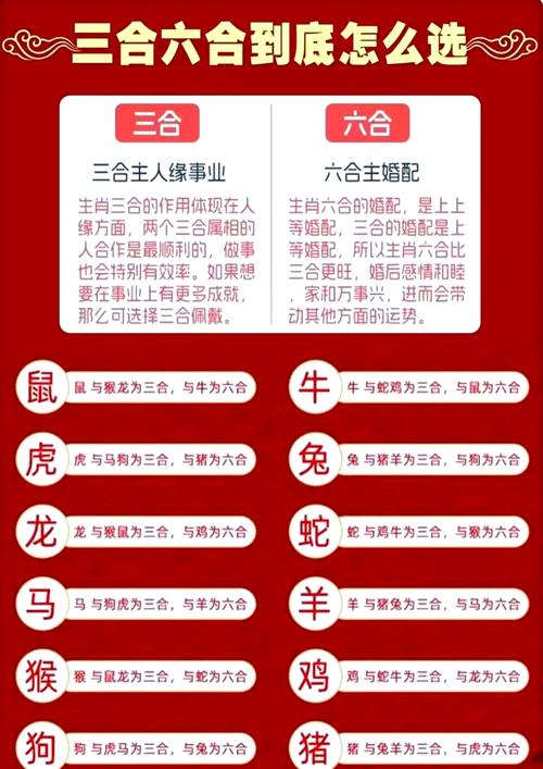五走三七合顺行正确答案,五走三七合顺行指什么生肖