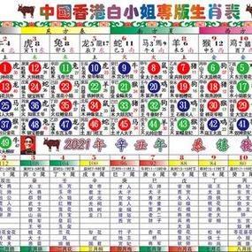 今期生肖来作伴什么生肖,今期生肖是什么意思