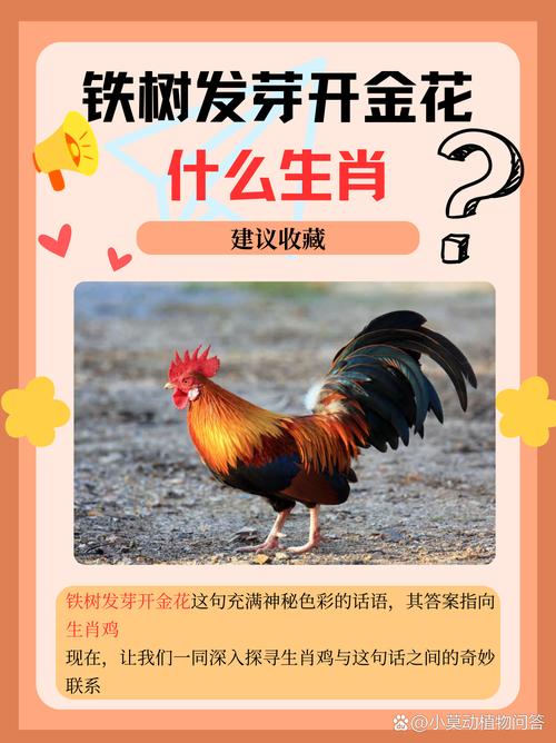 今期生肖七字开是什么意思,七字开彩是什么生肖
