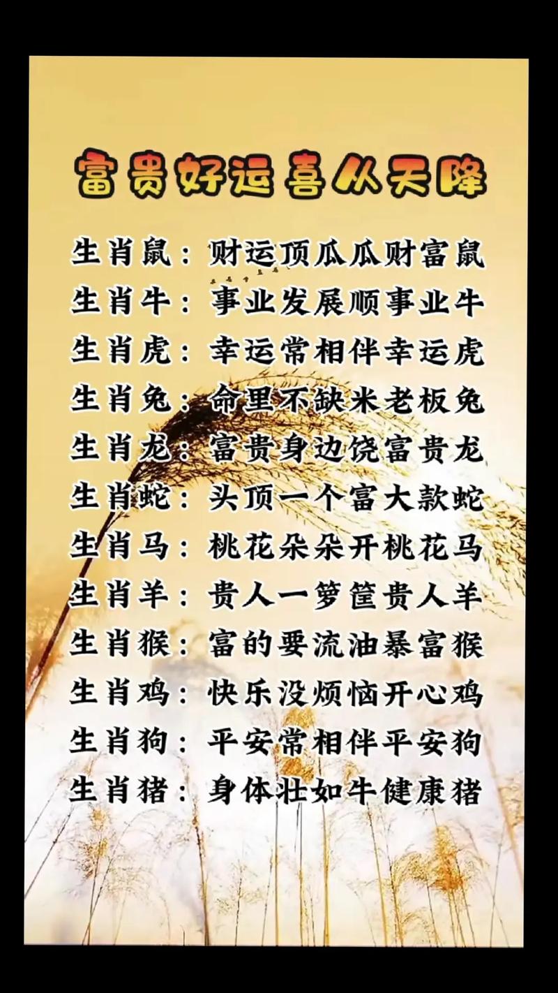 今期生肖找桃花定在家打一肖,今期该出什么生肖