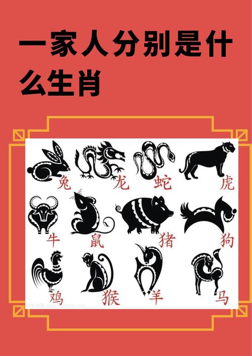 组打一生肖动物,组代表什么生肖