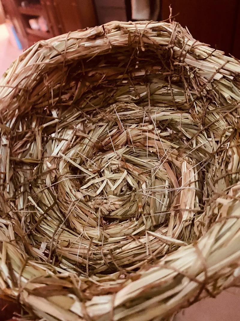 稻草编鸡蛋窝视频,鸡下蛋窝又使用又漂亮